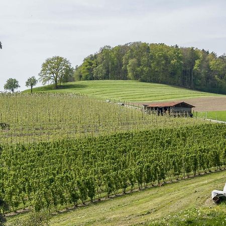 Ferienwohnung Lang Kressbronn am Bodensee Bagian luar foto
