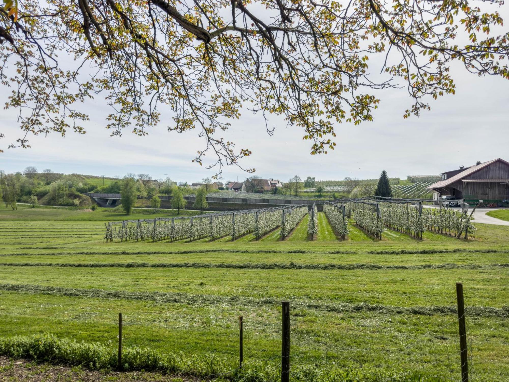 Ferienwohnung Lang Kressbronn am Bodensee Bagian luar foto