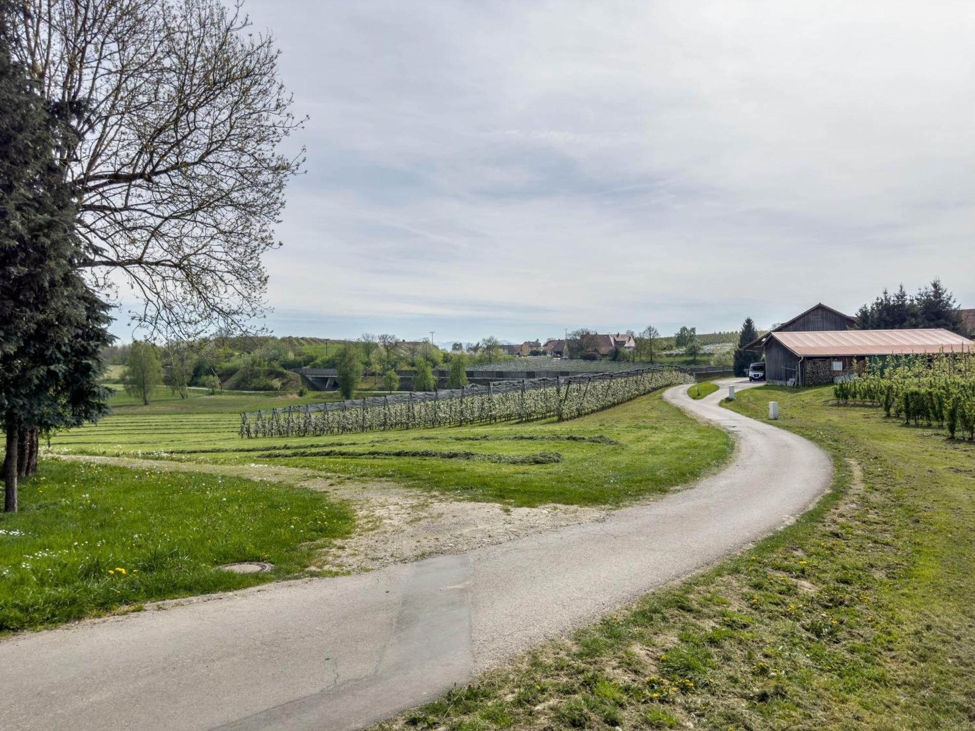 Ferienwohnung Lang Kressbronn am Bodensee Bagian luar foto